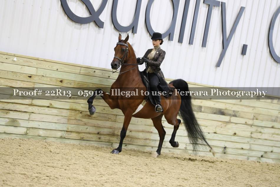 Proof 22R13_05912