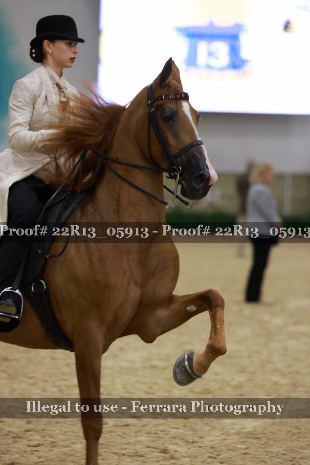 Proof 22R13_05913
