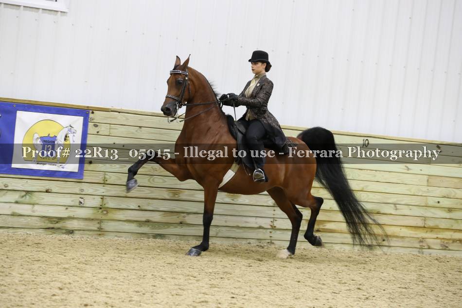 Proof 22R13_05915