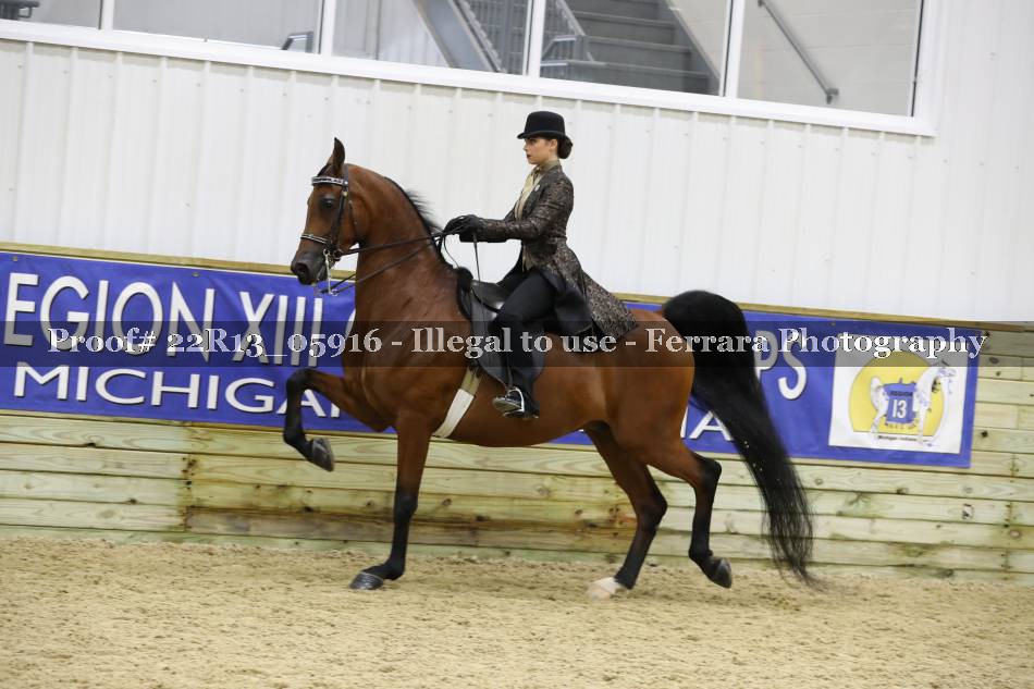 Proof 22R13_05916