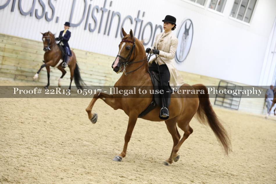 Proof 22R13_05917