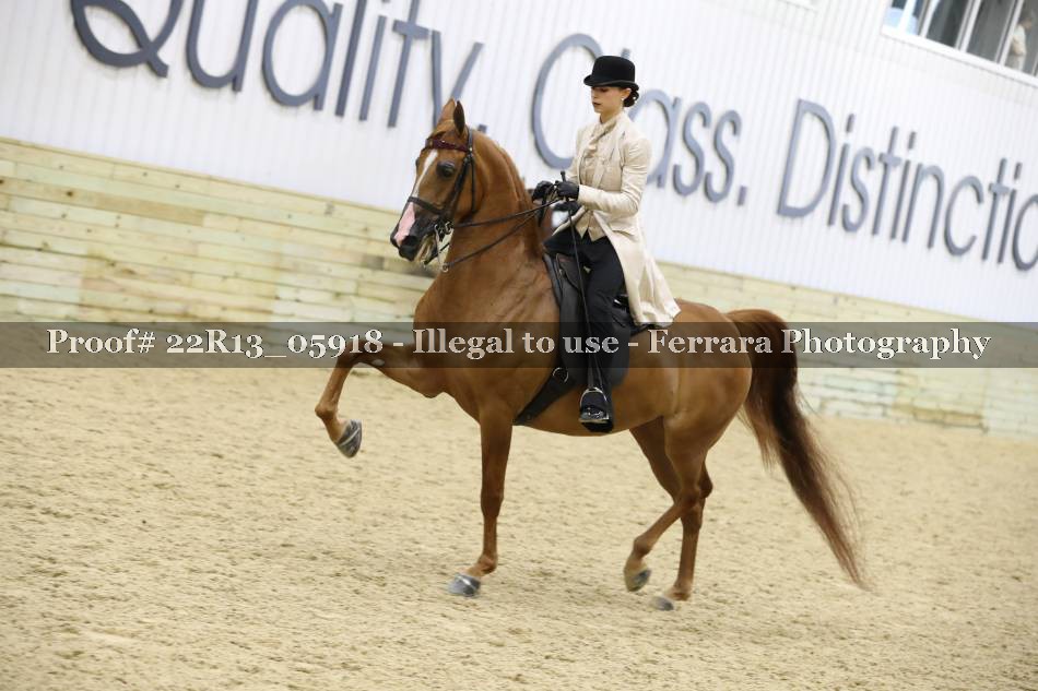 Proof 22R13_05918