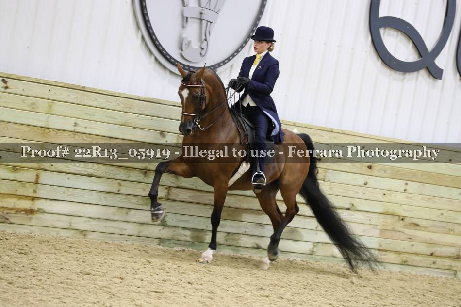 Proof 22R13_05919