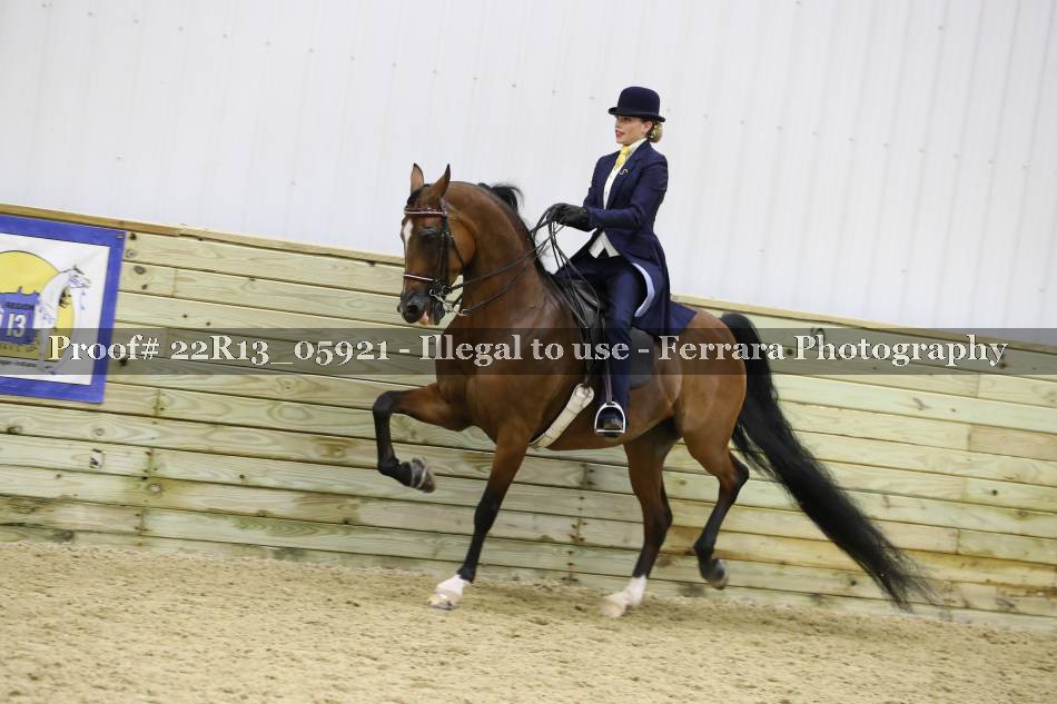 Proof 22R13_05921
