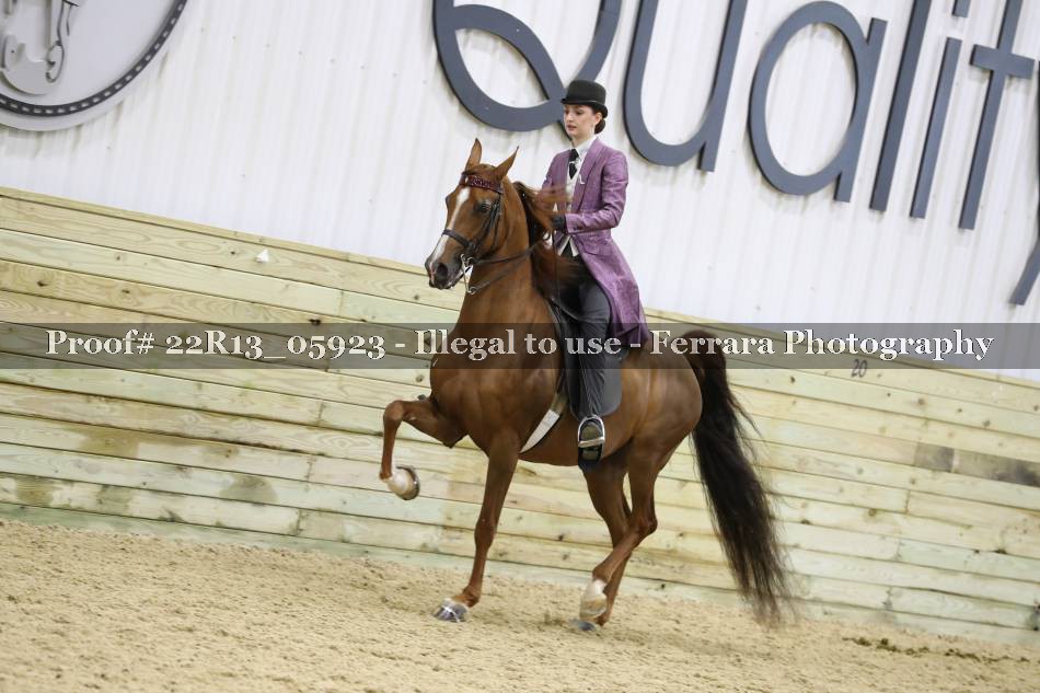 Proof 22R13_05923