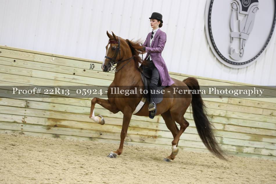 Proof 22R13_05924