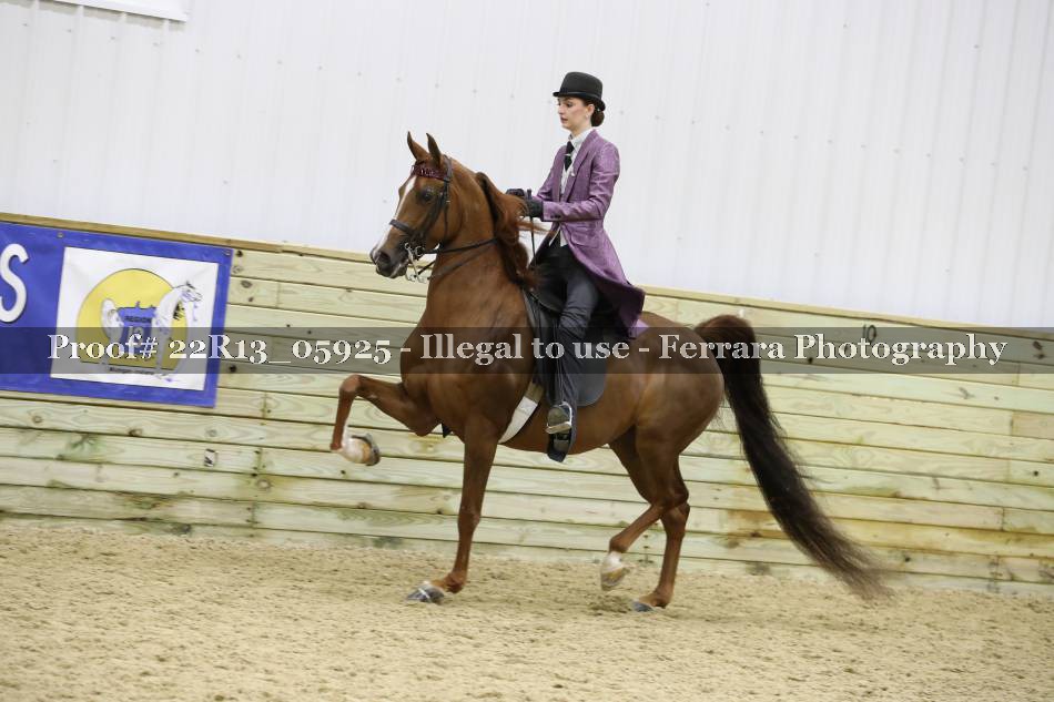 Proof 22R13_05925