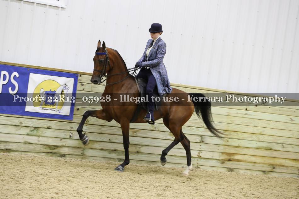 Proof 22R13_05928