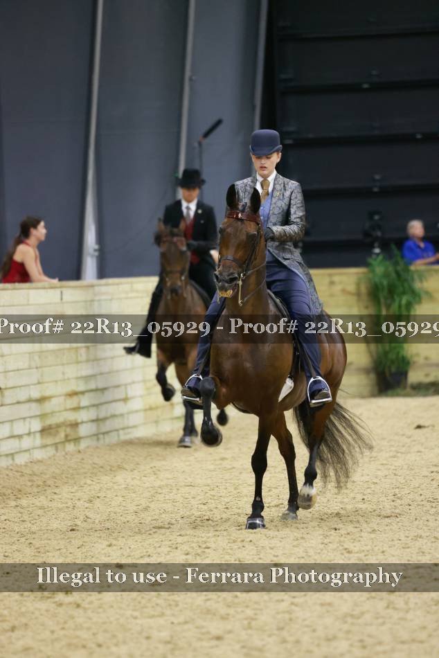 Proof 22R13_05929