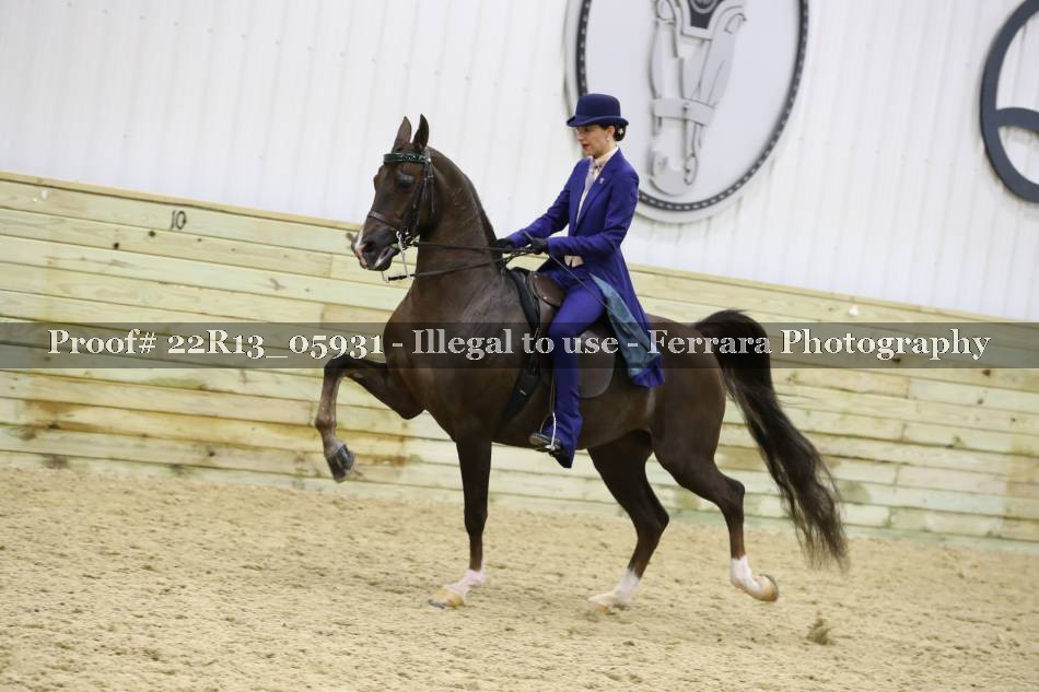 Proof 22R13_05931