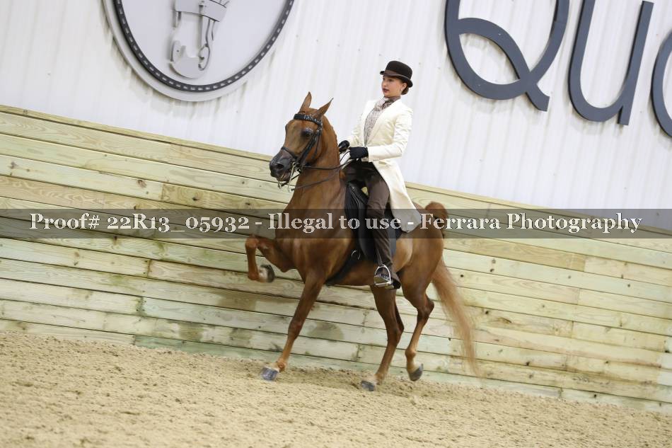 Proof 22R13_05932