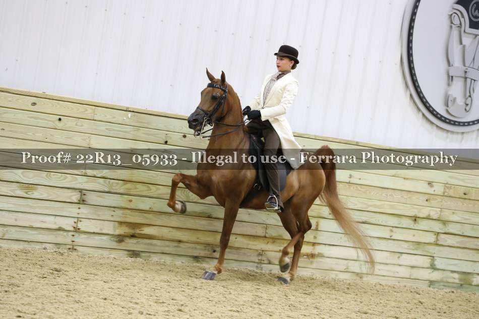 Proof 22R13_05933