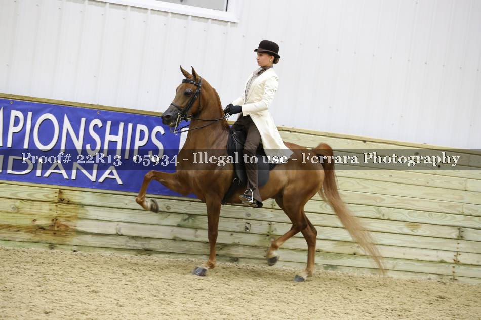 Proof 22R13_05934