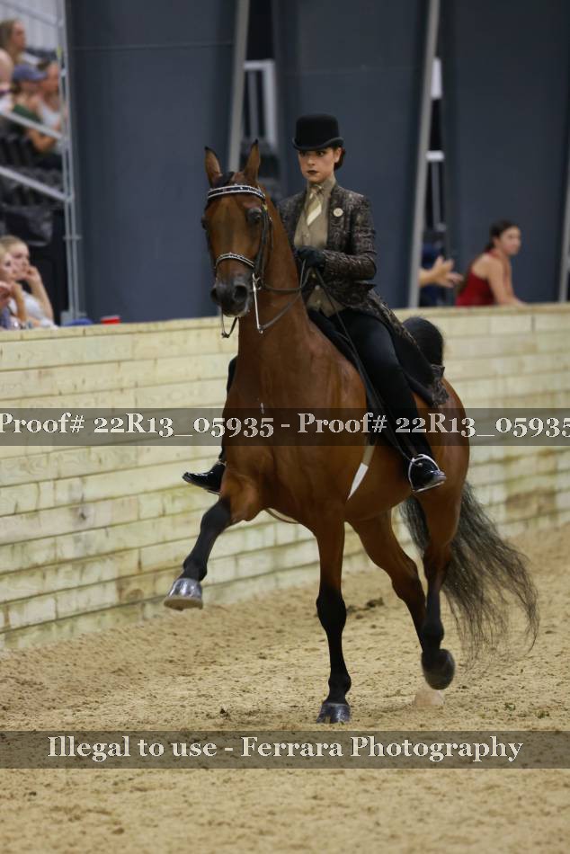 Proof 22R13_05935