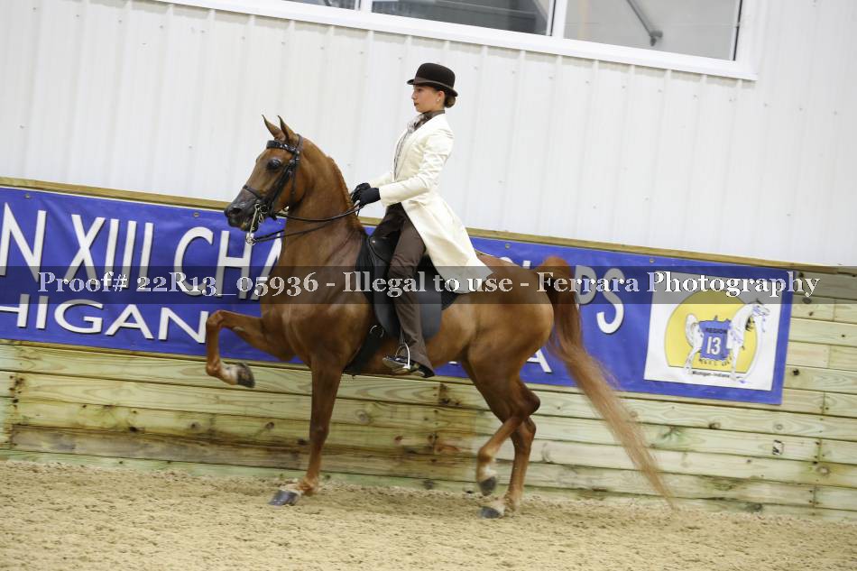 Proof 22R13_05936