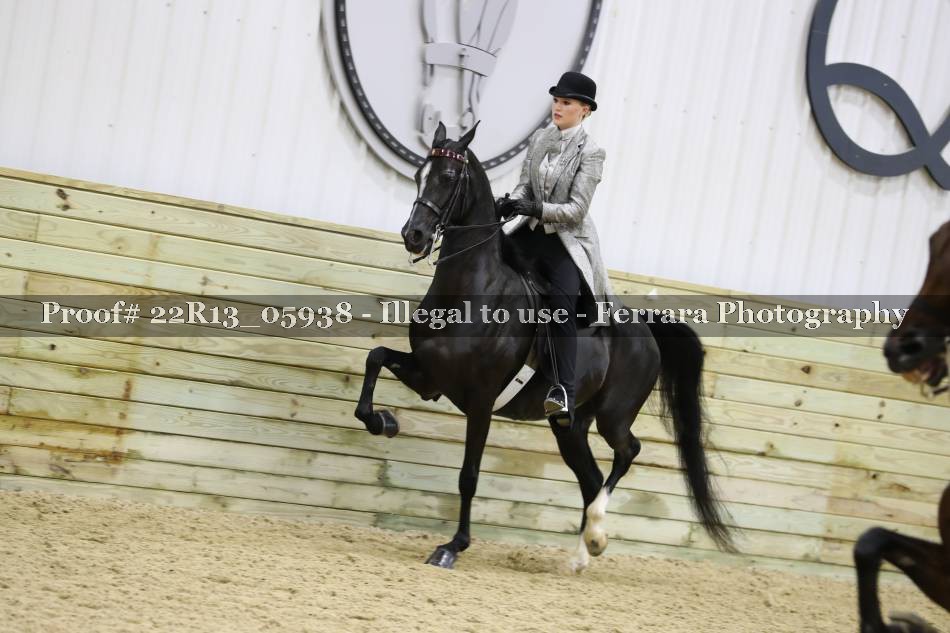 Proof 22R13_05938