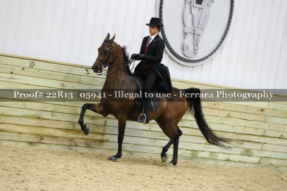 Proof 22R13_05941