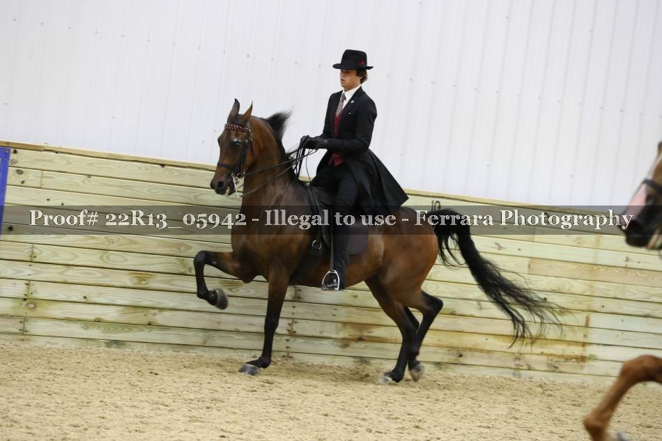 Proof 22R13_05942