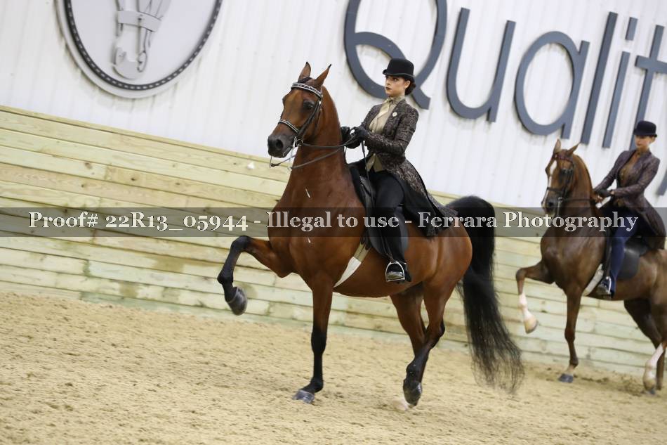 Proof 22R13_05944