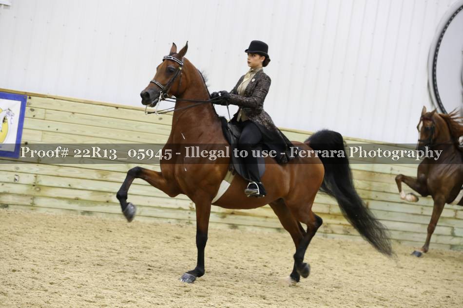 Proof 22R13_05945