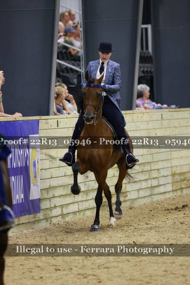 Proof 22R13_05946