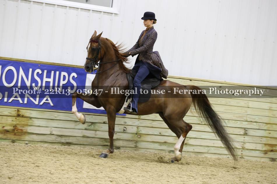 Proof 22R13_05947