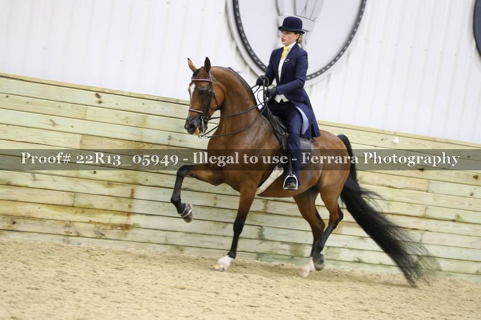 Proof 22R13_05949