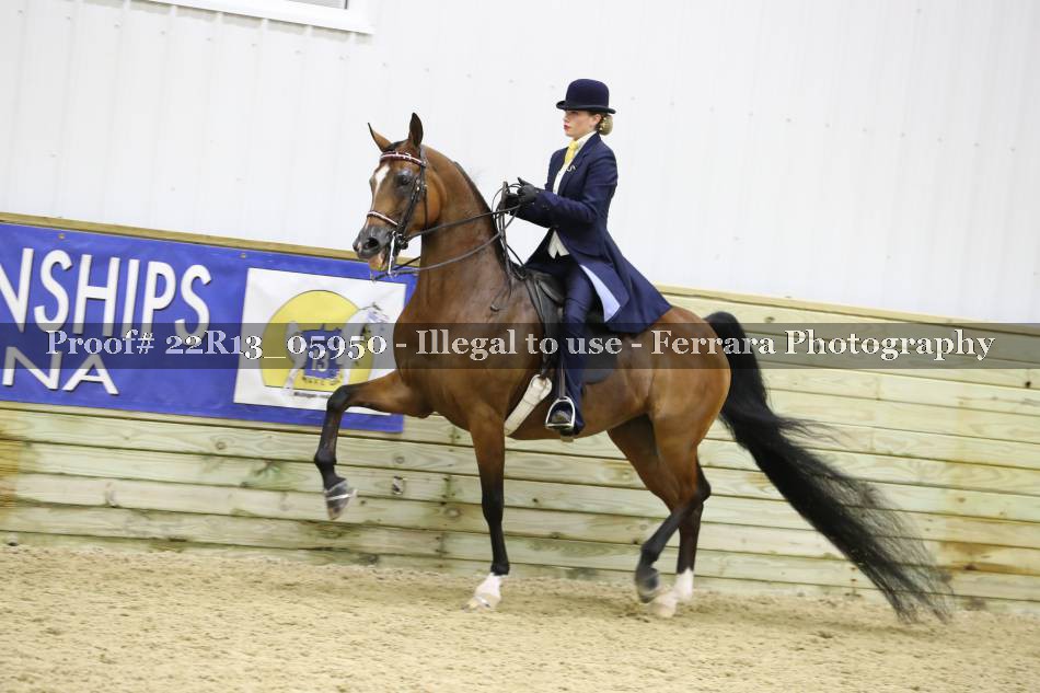 Proof 22R13_05950