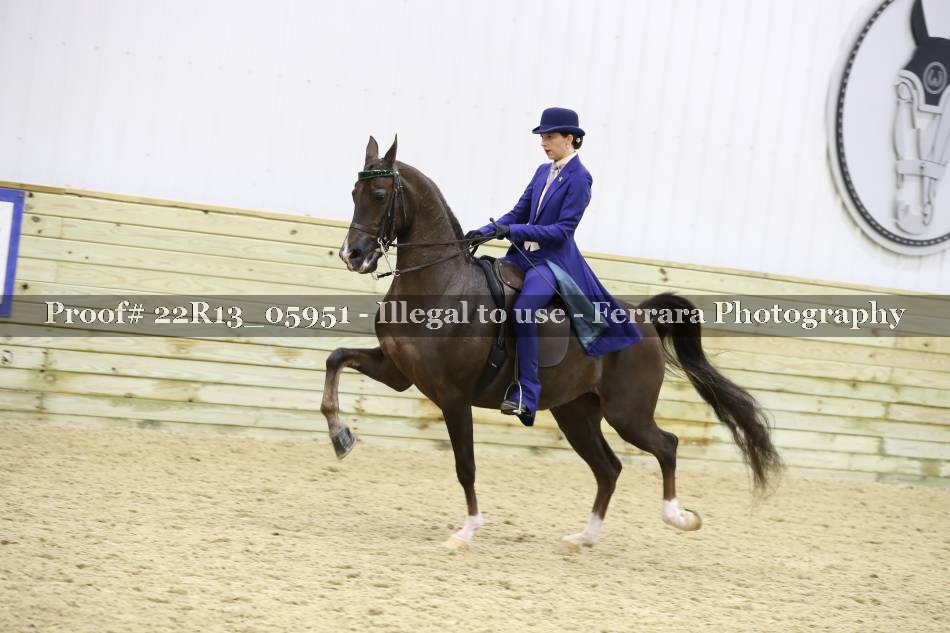Proof 22R13_05951