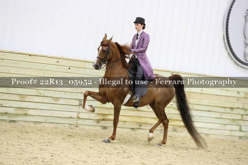 Proof 22R13_05952