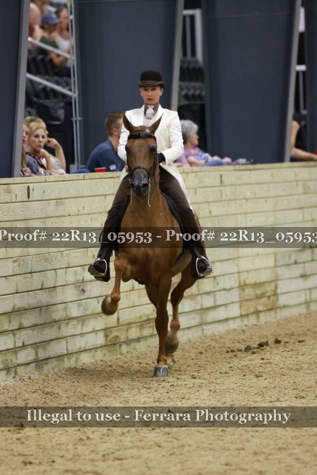 Proof 22R13_05953
