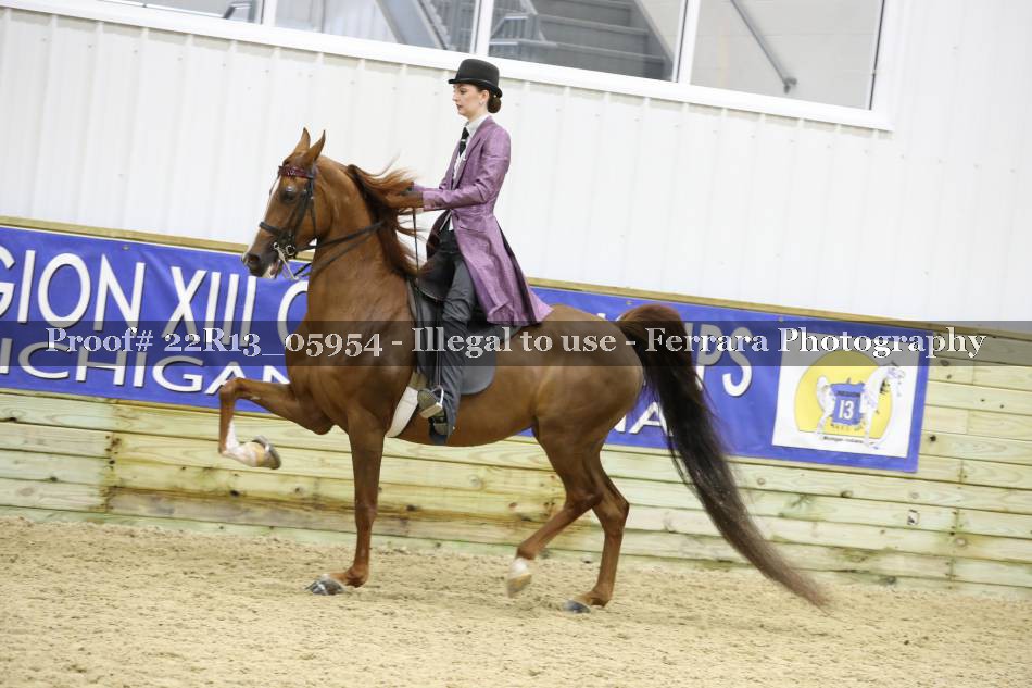 Proof 22R13_05954