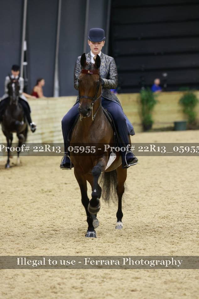 Proof 22R13_05955