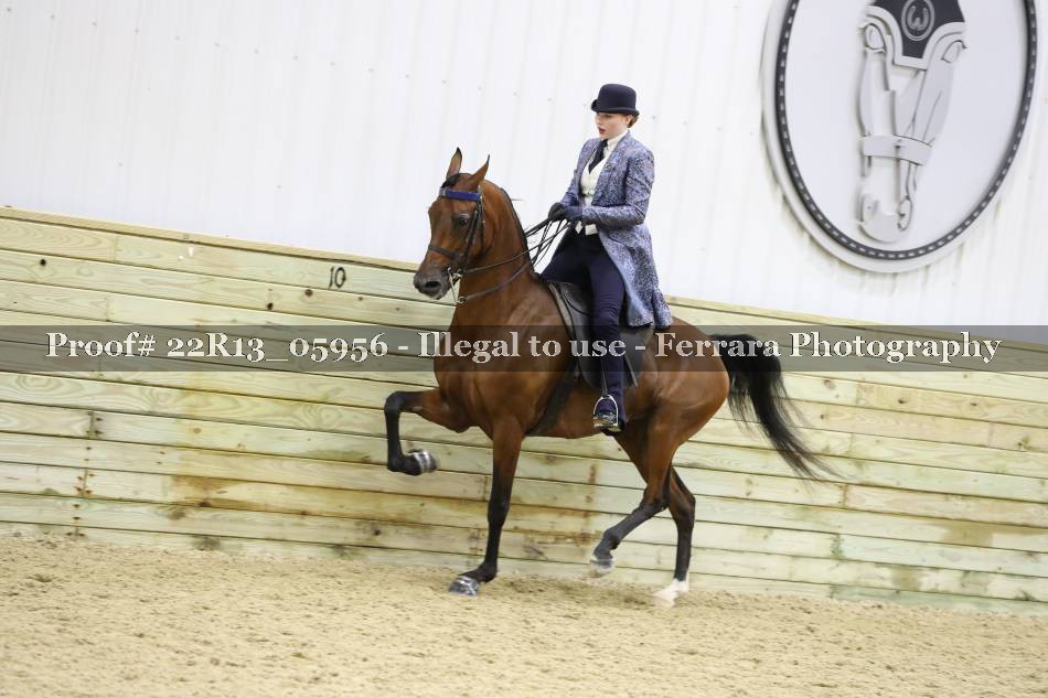 Proof 22R13_05956