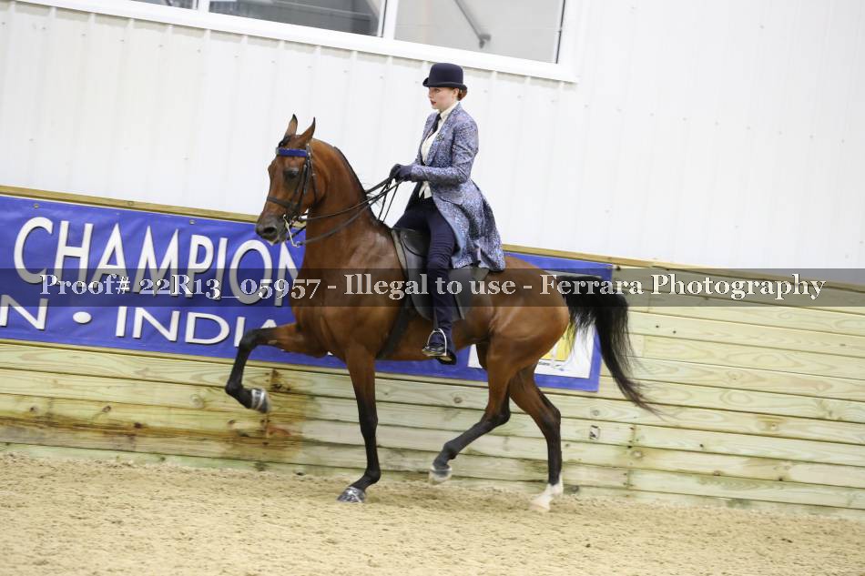 Proof 22R13_05957