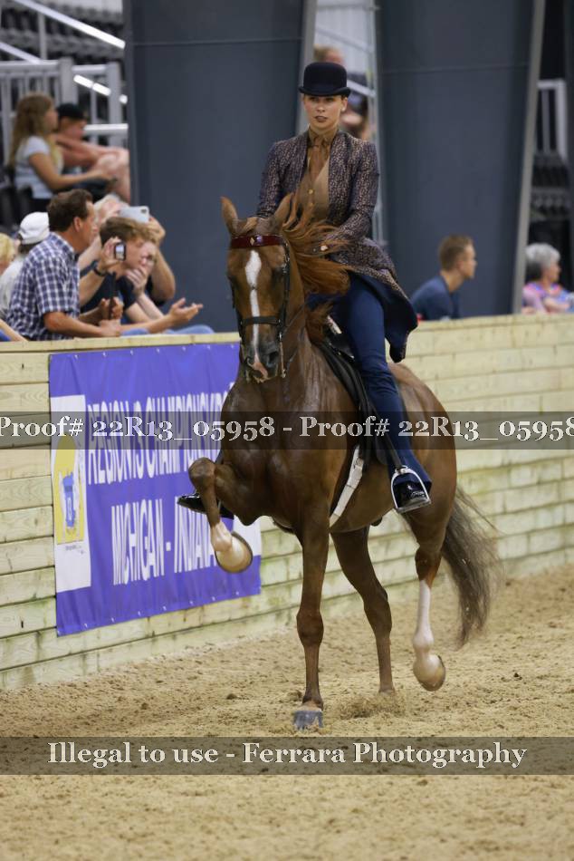 Proof 22R13_05958