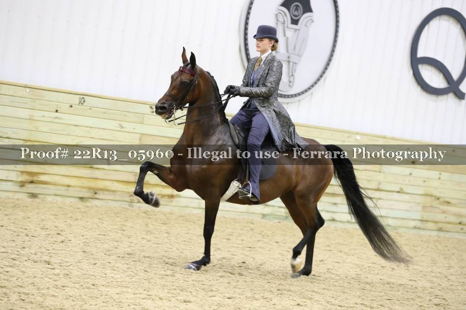 Proof 22R13_05960