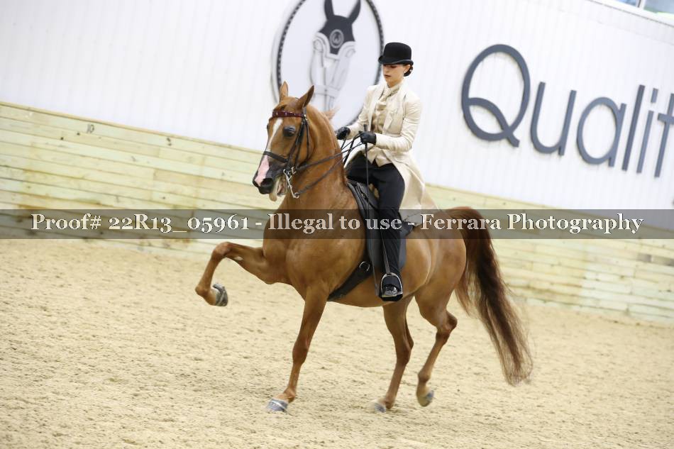Proof 22R13_05961