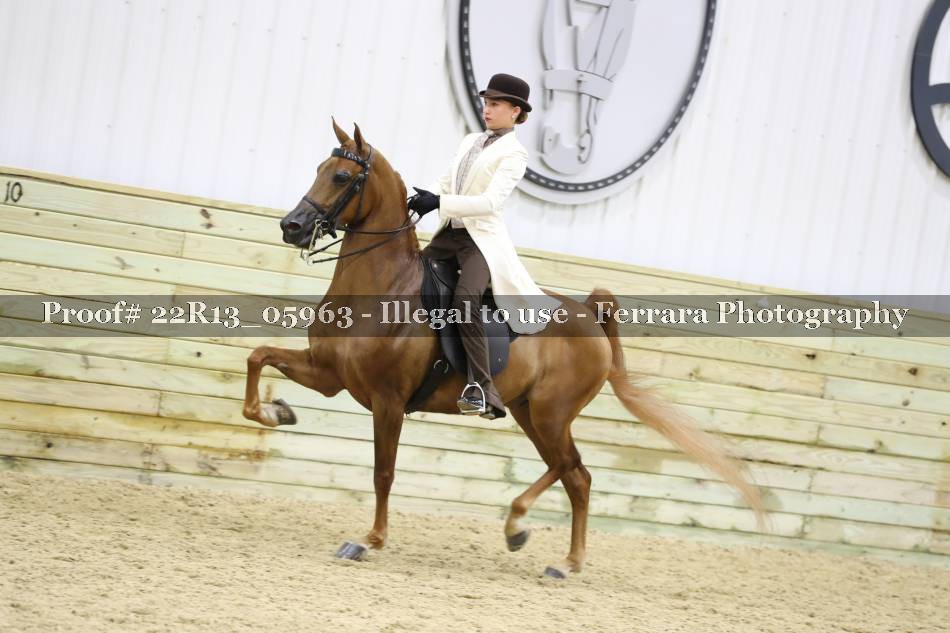 Proof 22R13_05963
