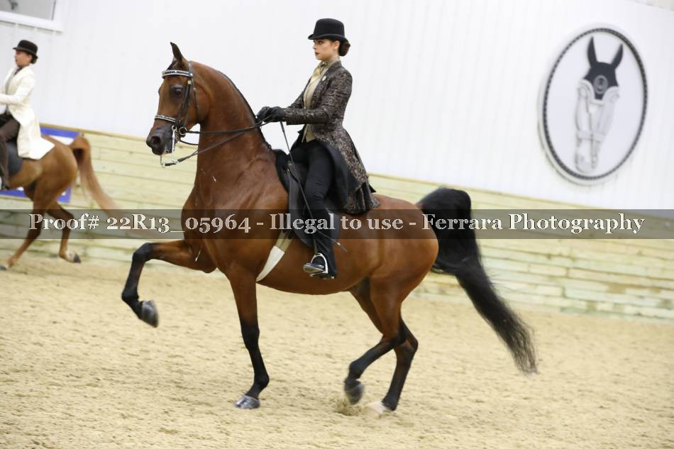Proof 22R13_05964