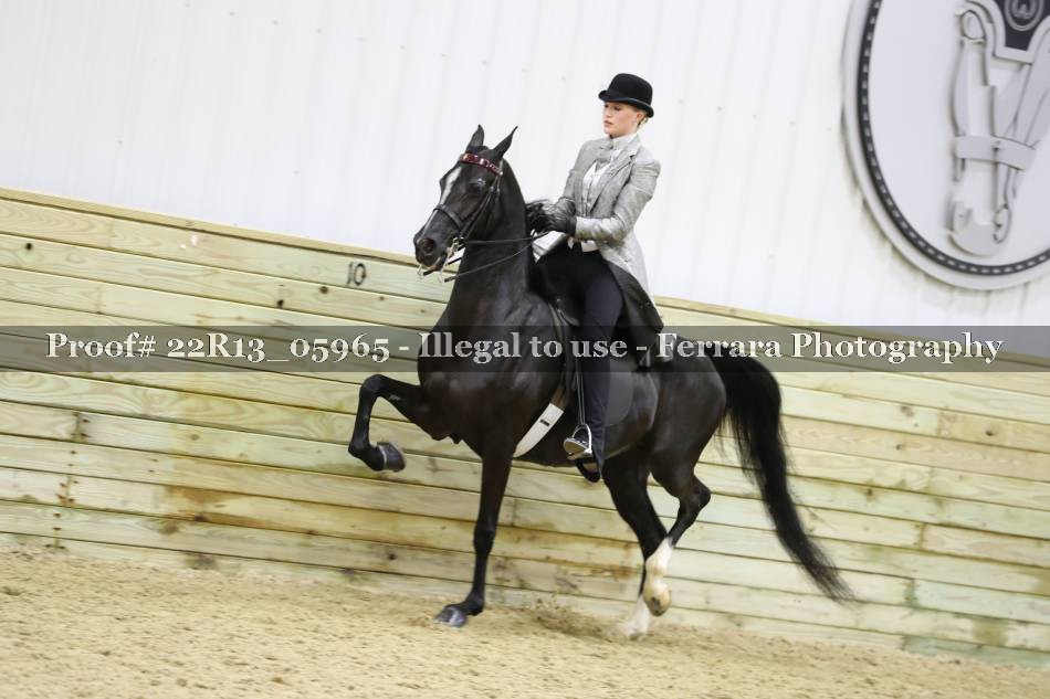 Proof 22R13_05965