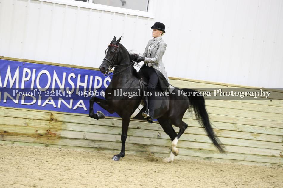 Proof 22R13_05966