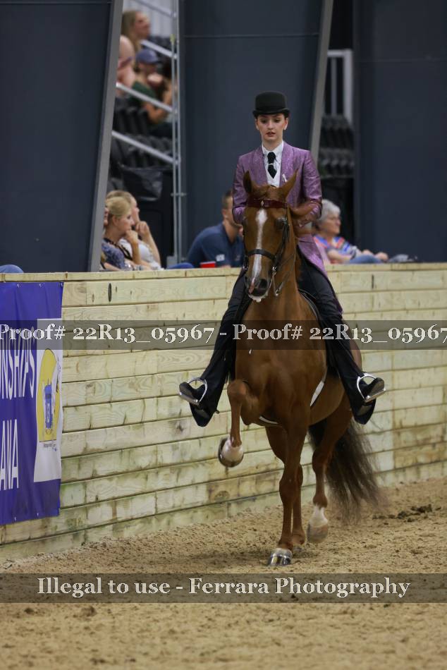 Proof 22R13_05967