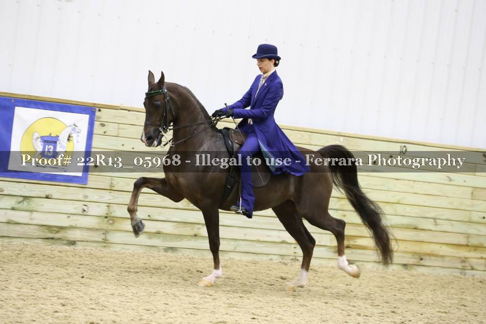 Proof 22R13_05968