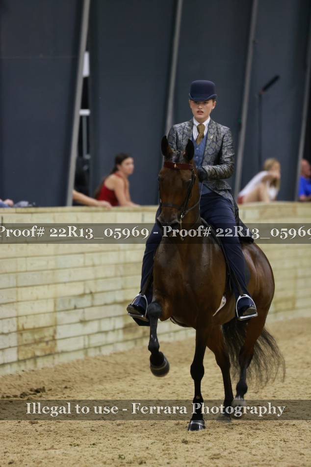 Proof 22R13_05969