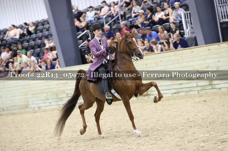 Proof 22R13_05972