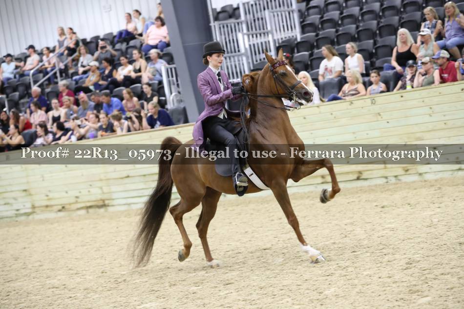 Proof 22R13_05973