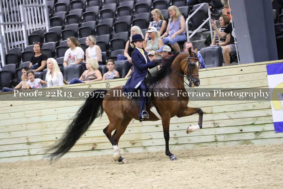 Proof 22R13_05975
