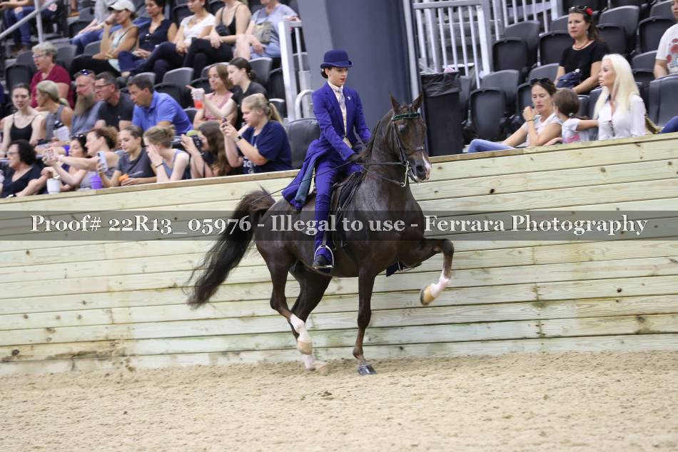 Proof 22R13_05976
