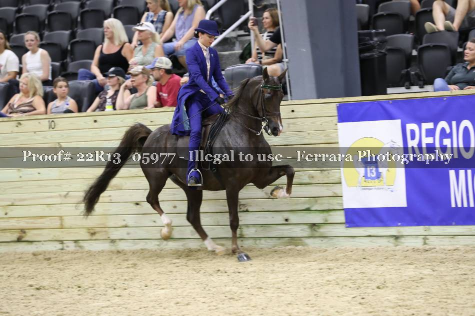 Proof 22R13_05977